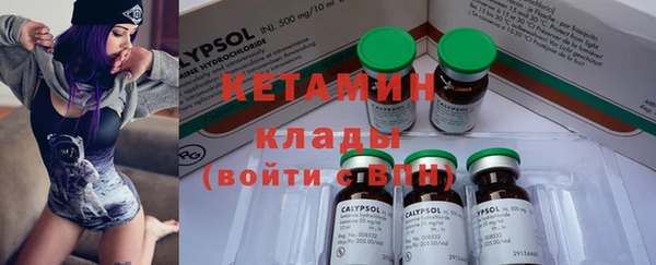 ПСИЛОЦИБИНОВЫЕ ГРИБЫ Верея