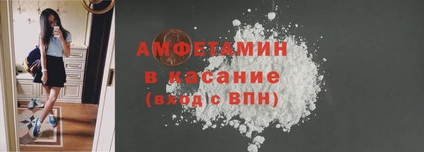 молекула духа Кулебаки