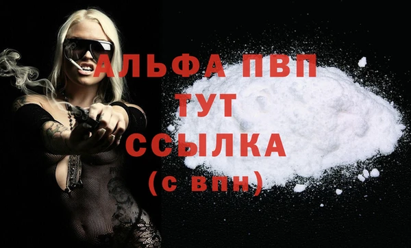 ПСИЛОЦИБИНОВЫЕ ГРИБЫ Верея