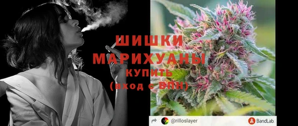 ПСИЛОЦИБИНОВЫЕ ГРИБЫ Верея