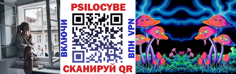 Псилоцибиновые грибы Cubensis  Весьегонск 
